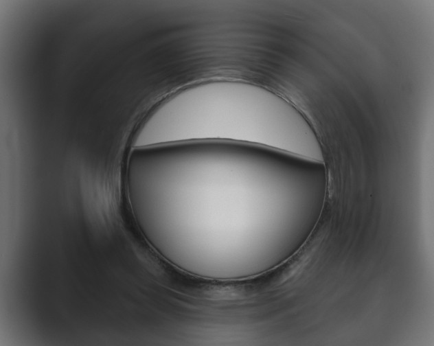 X0000089880349200706281055