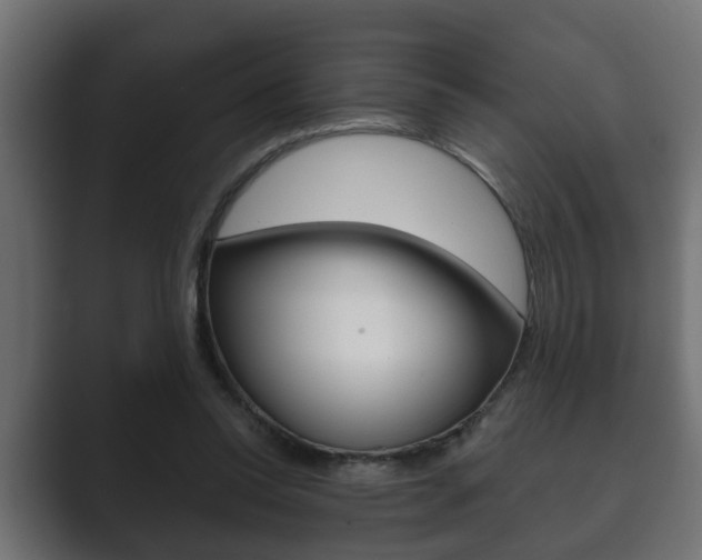 X0000089880350200706281055