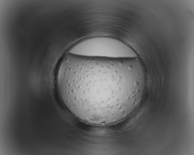 X0000089880351200706281055