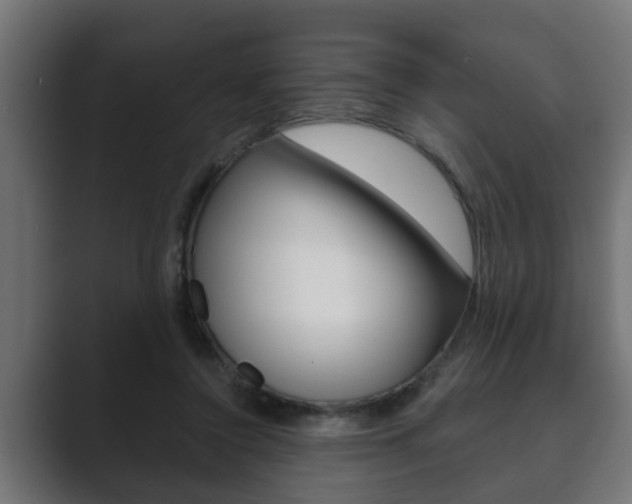 X0000089880356200706281055