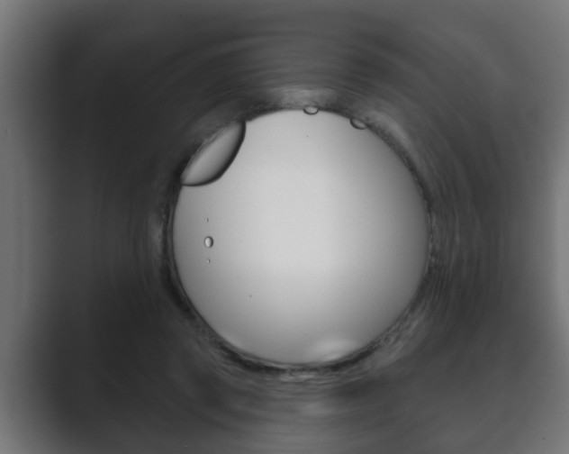 X0000089880357200706281055