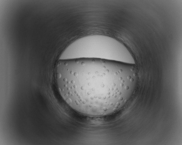 X0000089880359200706281055