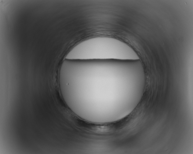 X0000089880361200706281055
