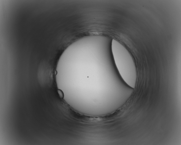 X0000089880363200706281055