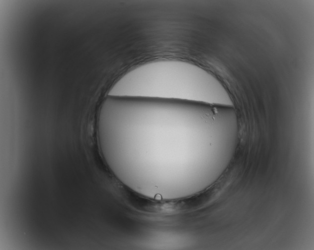 X0000089880365200706281055