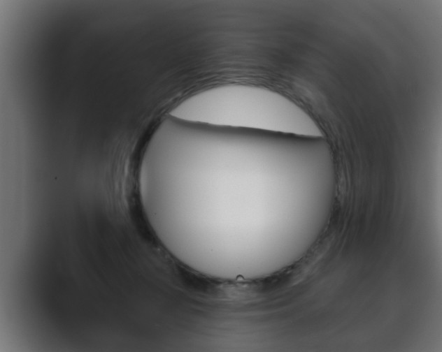 X0000089880367200706281055