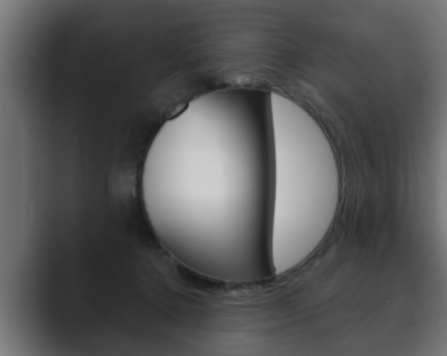 X0000089880368200706281055