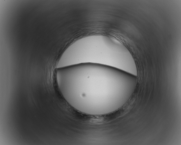 X0000089880369200706281055