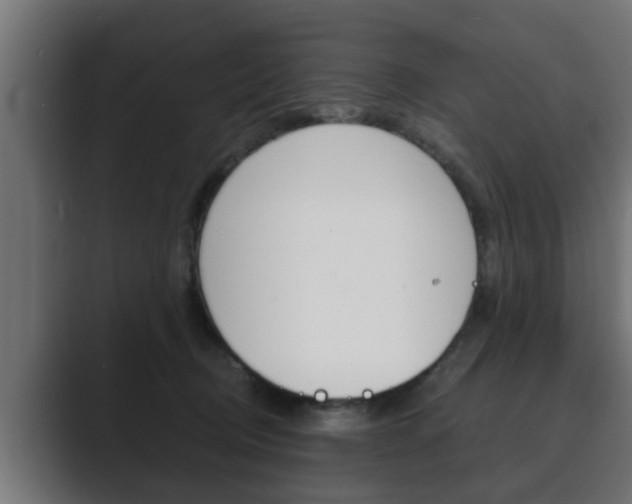 X0000089880370200706281055