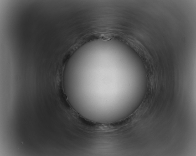 X0000089880372200706281055