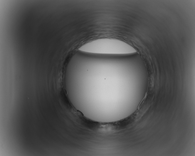 X0000089880376200706281055
