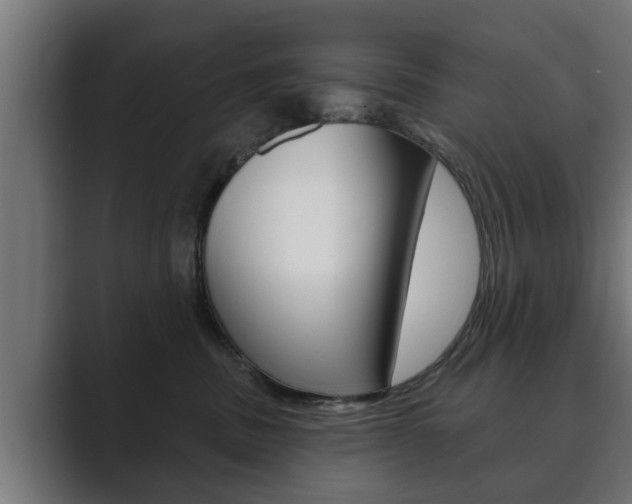 X0000089880379200706281055