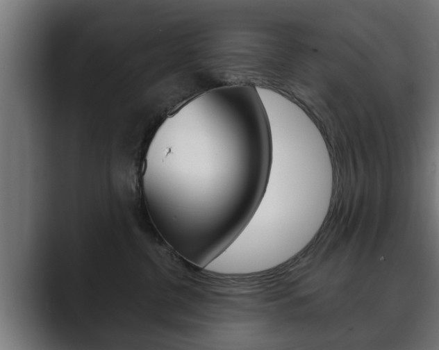 X0000089880380200706281055