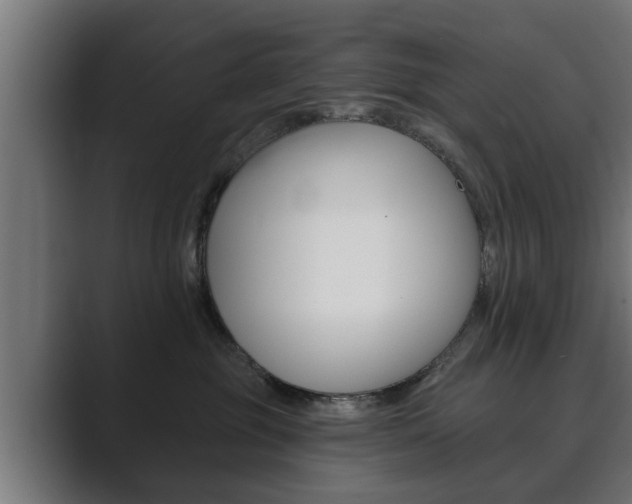 X0000089880381200706281055