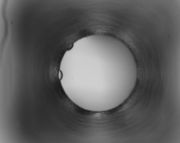 X0000089880382200706281055
