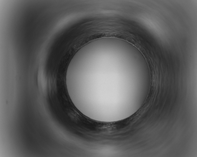 X0000089880383200706281055