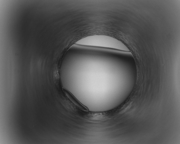 X0000089880384200706281055