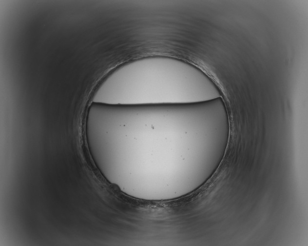X0000089880386200706281055