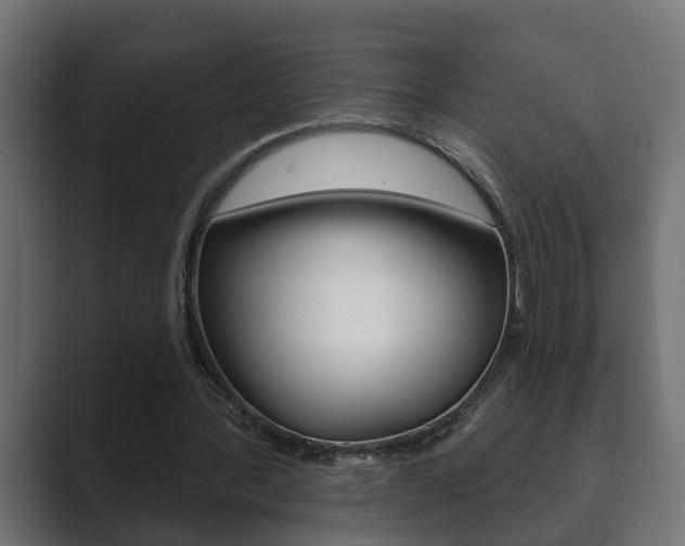X0000089880388200706281055