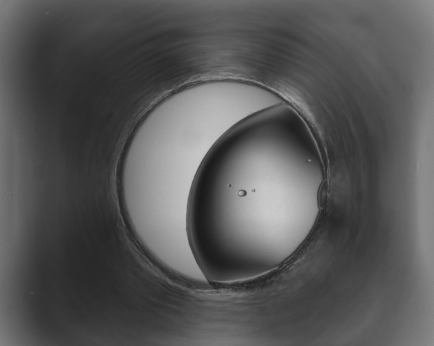 X0000089880389200706281055