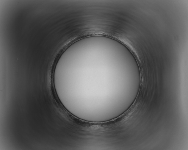 X0000089880390200706281055