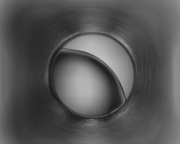 X0000089880391200706281055