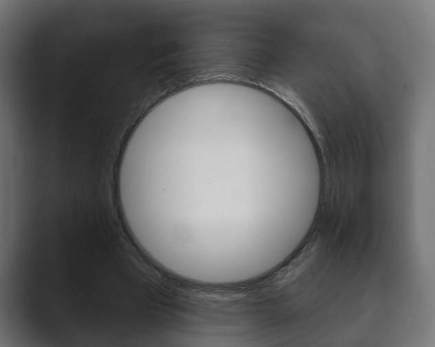 X0000089880393200706281055