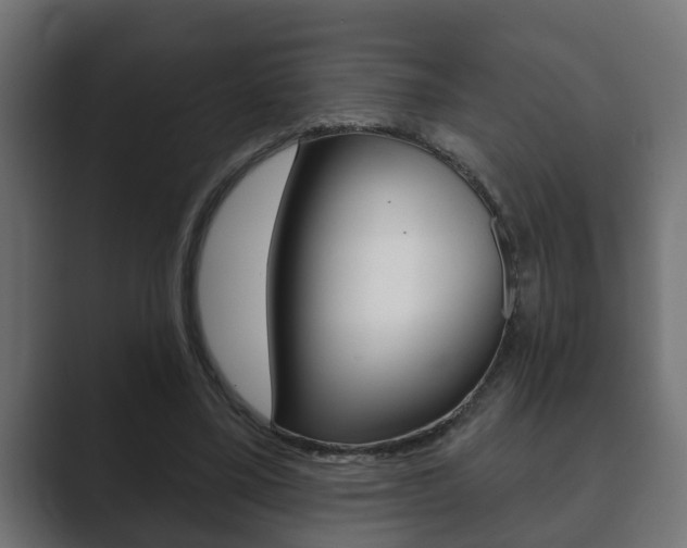 X0000089880395200706281055