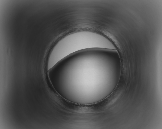 X0000089880399200706281054