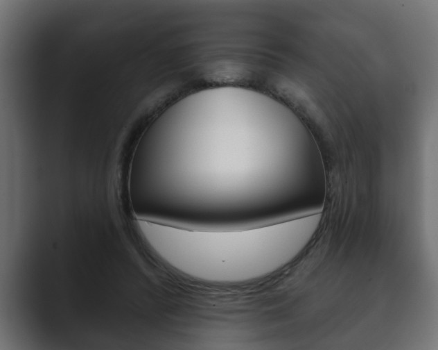X0000089880400200706281054