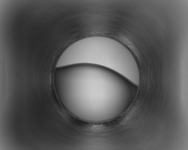 X0000089880401200706281054