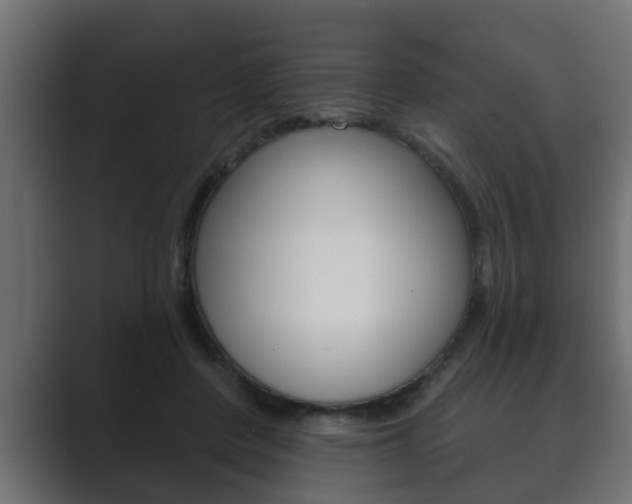 X0000089880408200706281054