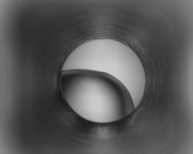 X0000089880416200706281054