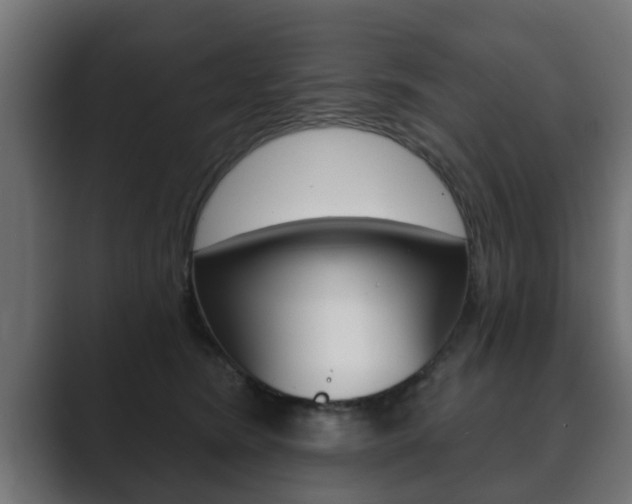 X0000089880420200706281054