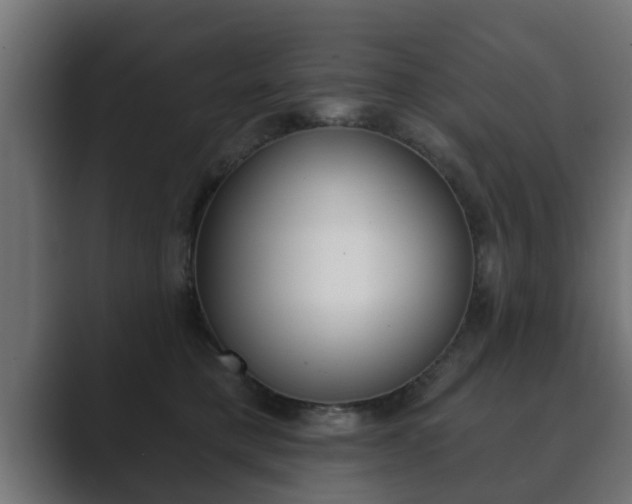 X0000089880421200706281054