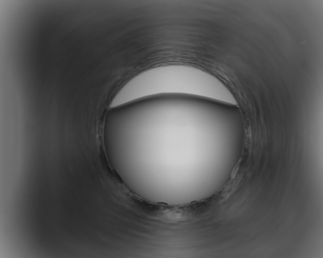X0000089880423200706281054