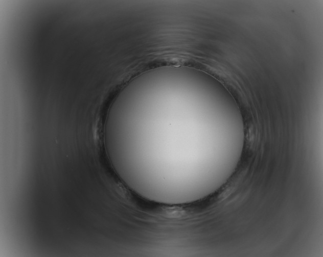 X0000089880424200706281054