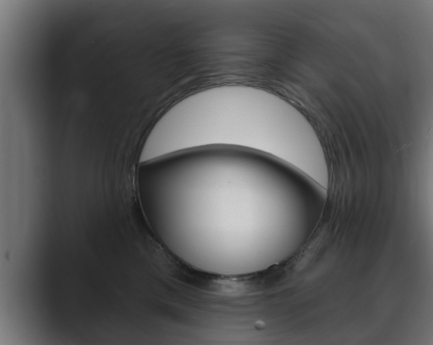 X0000089880425200706281054