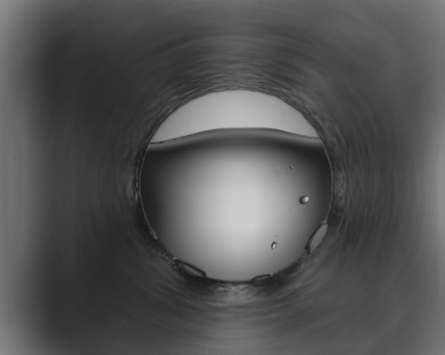 X0000089880428200706281054
