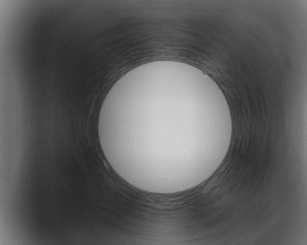 X0000089880431200706281054