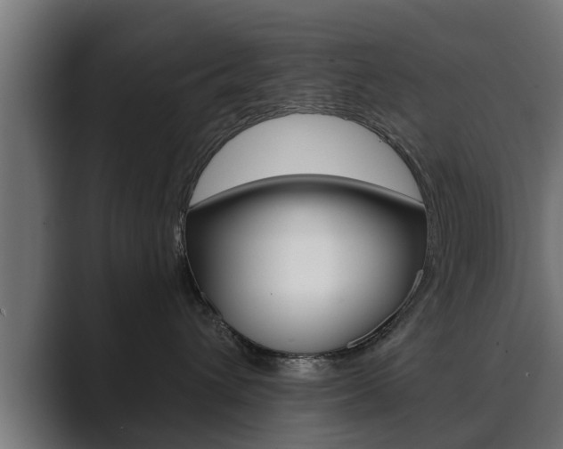 X0000089880432200706281054