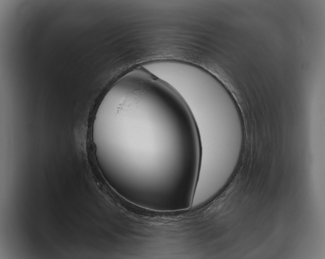 X0000089880434200706281053