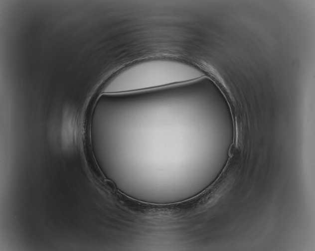 X0000089880435200706281053