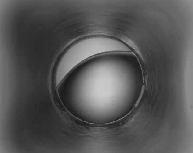 X0000089880436200706281053