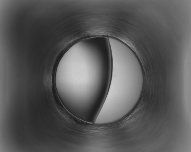 X0000089880438200706281054
