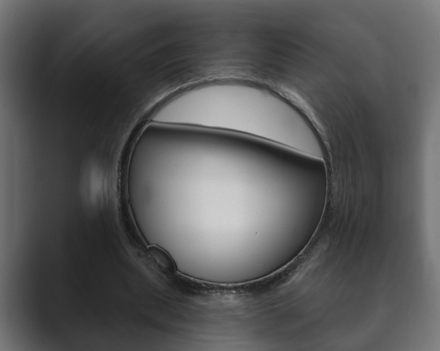 X0000089880439200706281054