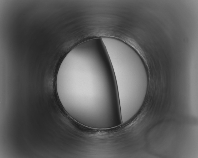 X0000089880441200706281054