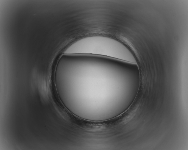 X0000089880443200706281054