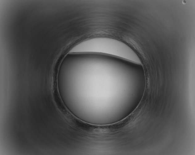 X0000089880444200706281054