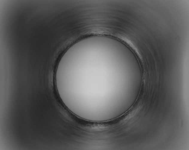 X0000089880445200706281054